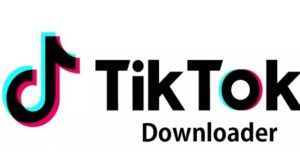 The art of downloading TikTok videos without watermark