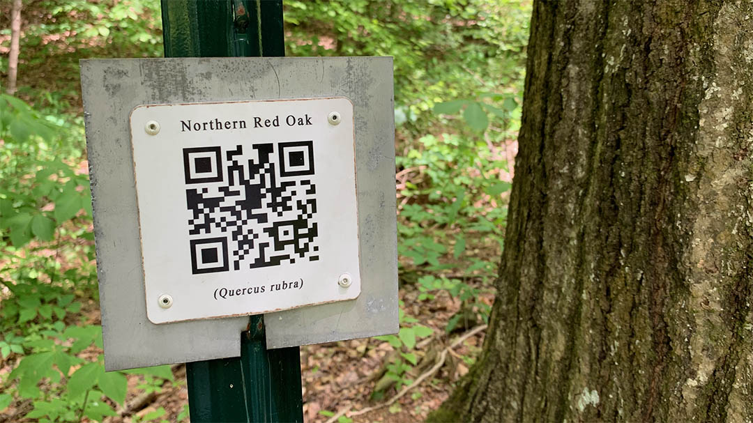 QR Codes For Mountaineers: Safer Treks And Trails In A Scan