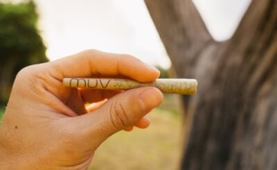 Is It Beneficial to Purchase Cannabis Pre-Rolls?