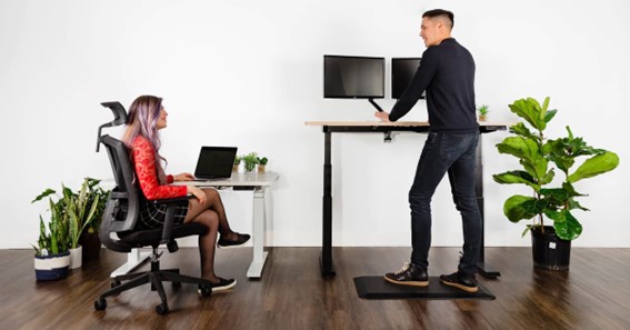 Ergonomic Chair and Standing Desk: Which is one better?