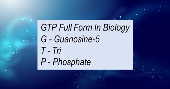 GTP Full Form In Biology 
